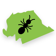 JRBP Survey icon