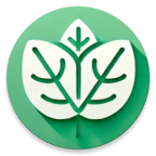 Mint icon