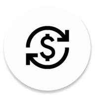NanoLedger icon