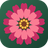 zinna-IME